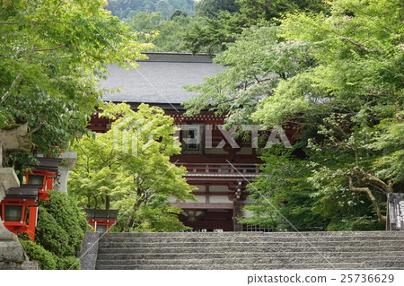 庫拉瑪寺 25736629