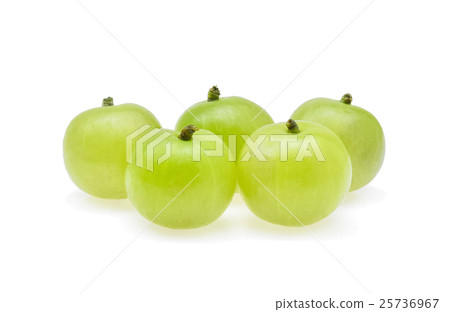 Indian gooseberry or Amla (Phyllanthus emblica) Indian gooseberry or Amla (Phyllanthus emblica) 25736967