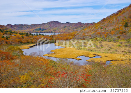 Akagiyama of autumn leaves Mt. Oshima looking down under the eyes a 25737333
