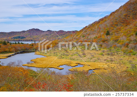 Akemi mountain overlooking under the eyes of autumn leaves b 25737334