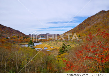 Akemi mountain overlooking the eyes of autumn leaves red dragon d Akemi mountain overlooking the eyes of autumn leaves red dragon d 25737336
