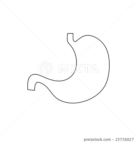 Human stomach icon, outline style 25738827