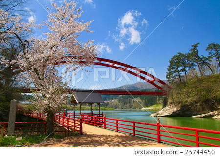 Tadami河在春天 25744450