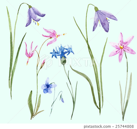 Watercolor wild flowers Watercolor wild flowers 25744808