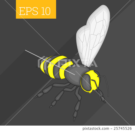 bee isometric vector illustration bee isometric vector illustration 25745526