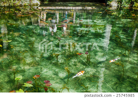 Monet's Pond（岐阜縣關市） 25745985