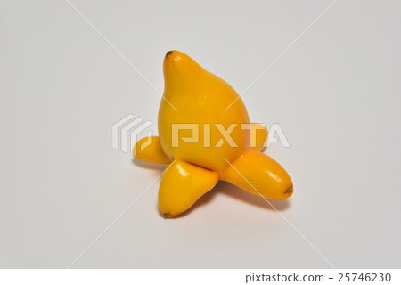 1張狐狸臉 25746230
