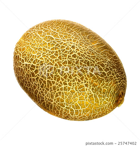 Melon isolated on white background 25747402