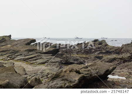 在神奈川縣三浦市被侵蝕的Jogashima南海岸的岩石領域 在神奈川縣三浦市被侵蝕的Jogashima南海岸的岩石領域 25748147