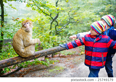 Two little kids boys in colorful clothes feeding 25749179