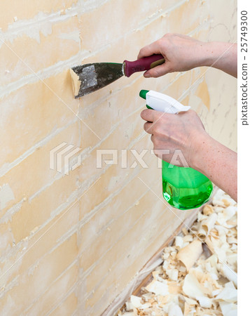 Removing of wet old wallpaper with metal spatula Removing of wet old wallpaper with metal spatula 25749300