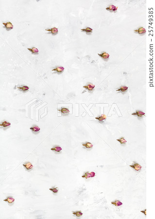 pink rose flower buds on gray concrete surface 25749385