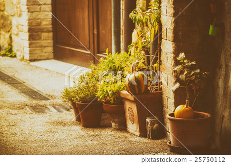 San Quirico d'Orcia San Quirico d'Orcia 25750112