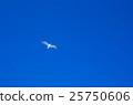 seagull 25750606