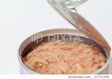 Tuna can 25751448