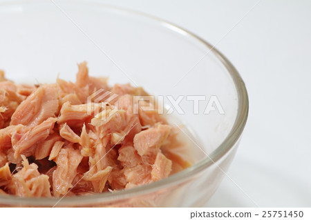 Tuna can 25751450