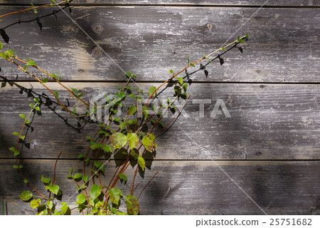 Grass that stretches to the wall Grass that stretches to the wall 25751682