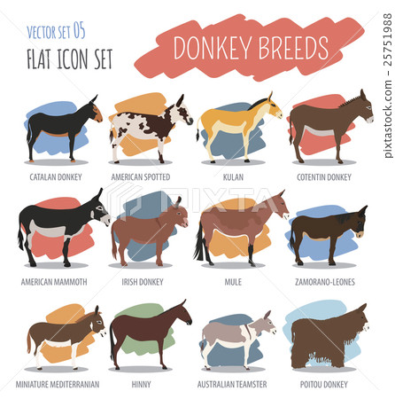 Donkey breeds icon set. Animal farming. Donkey breeds icon set. Animal farming. 25751988