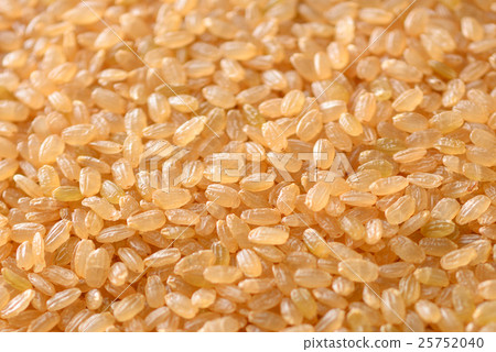 Germinated brown rice 25752040