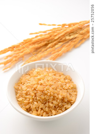 Germinated brown rice 25752056
