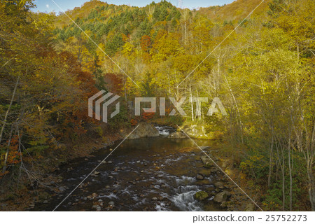 秋葉在札幌 25752273