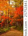 Yachiho Highland Nature Park 25752841