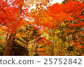 Yachiho Highland Nature Park 25752842