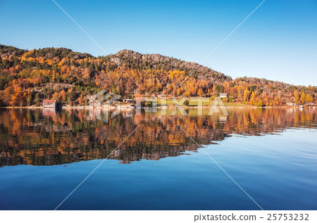 Coastal forest. Norwegian landscape 25753232