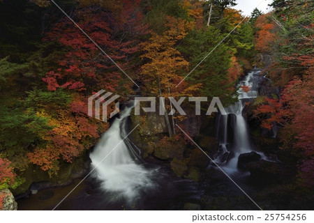 Autumn leaves of Ryuzo No Taki · Oku-nikko (Tochigi Prefecture) 25754256