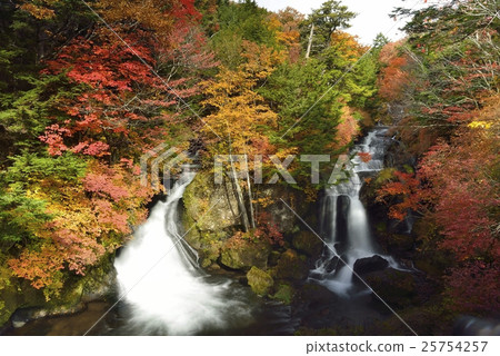 Autumn leaves of Ryuzo No Taki · Oku-nikko (Tochigi Prefecture) 25754257