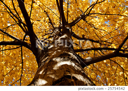 Nature stock images 25754542