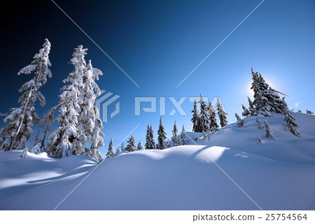 Nature stock images 25754564