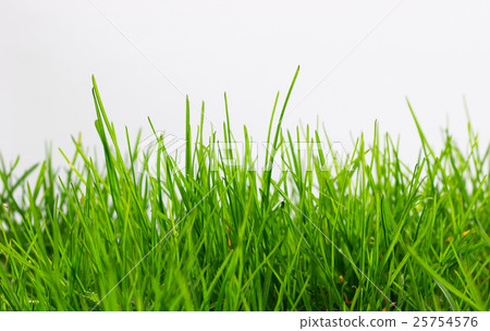 Nature stock images Nature stock images 25754576