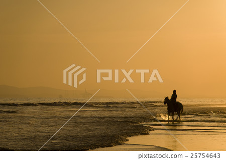 Animal stock images Animal stock images 25754643