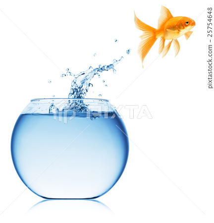Animal stock images Animal stock images 25754648