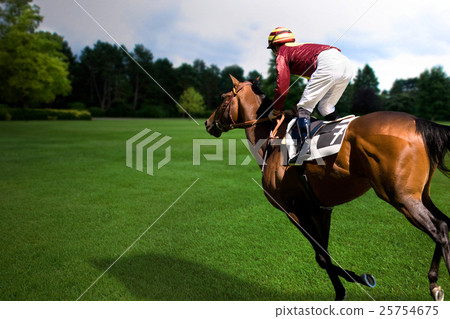 Animal stock images 25754675