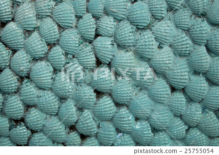 blood cockle painted green color exterior wall 25755054