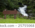 Beautiful waterfall in Thailand nature background 25755068