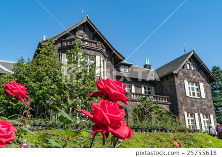Old Furukawa garden Rose in autumn 25755618