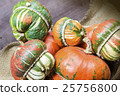 Decorative pumpkins 25756800