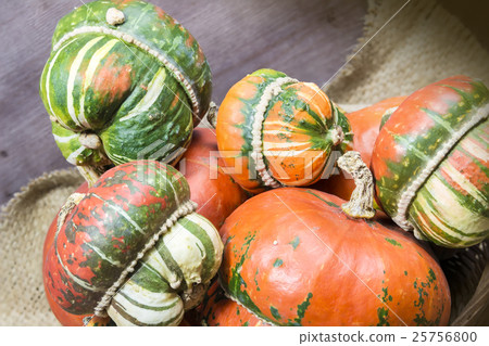 Decorative pumpkins Decorative pumpkins 25756800