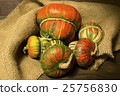 Decorative pumpkins 25756830