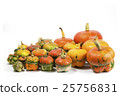 Decorative pumpkins 25756831