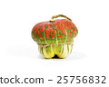 Decorative pumpkin 25756832