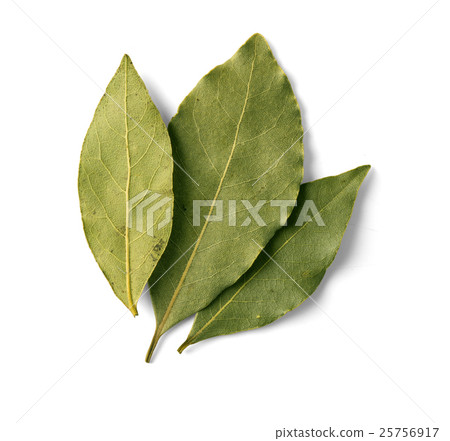 bay leaf on white 25756917