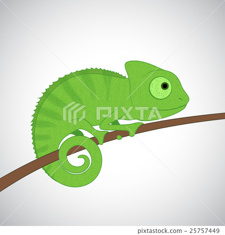 Green Cartoon Chameleon Stock Illustration 25757449 Pixta