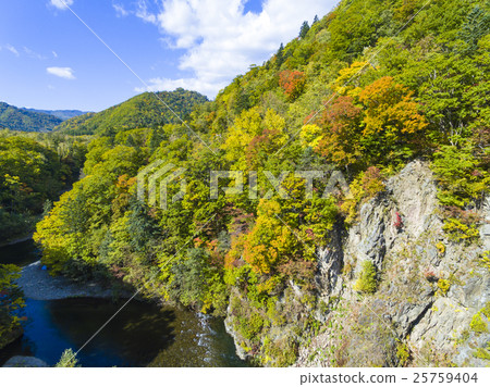 Autumn leaves in Jozankei 25759404