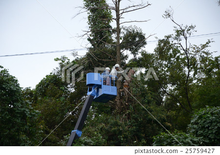 High alley logging operation 25759427
