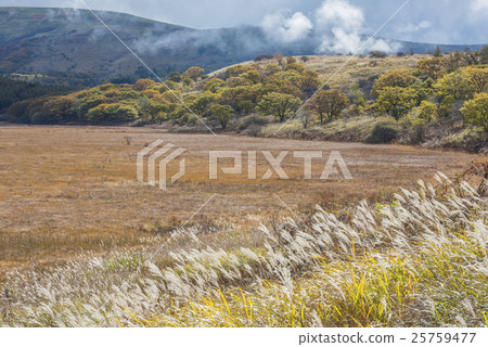 Autumn color Hachiagahara Marsh 25759477