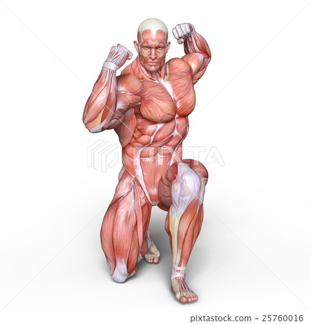 Human body Human body 25760016